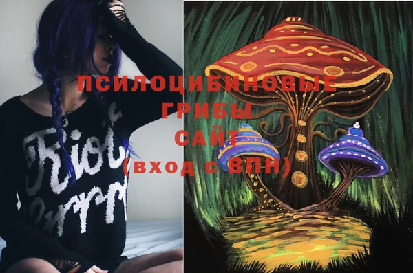 прущие крисы Кодинск