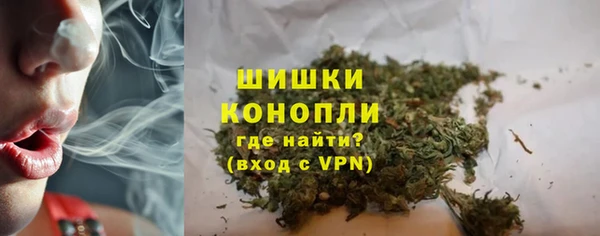 прущие крисы Кодинск