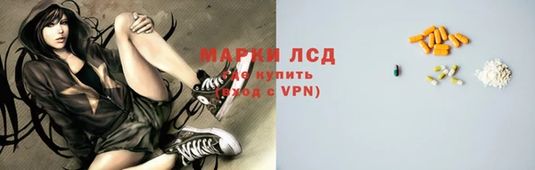 гидра Козловка