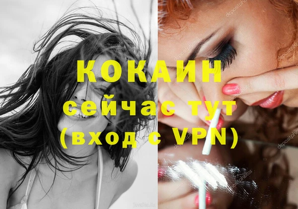 гидра Козловка