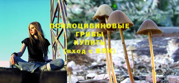 трава Каменногорск