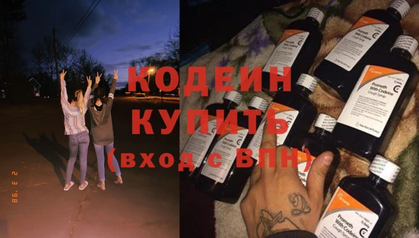дмт Каменка