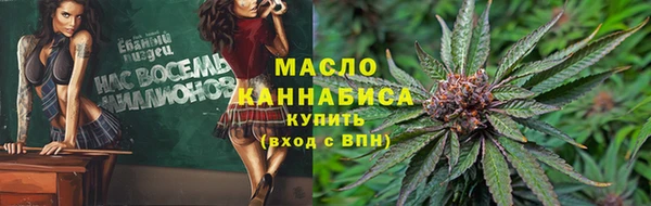 дмт Каменка