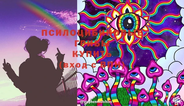 дурь Чердынь