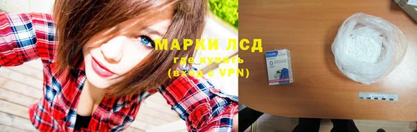 дмт Каменка