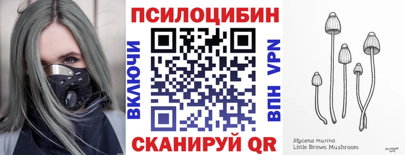 Купить  Красный Кут  Галлюциногенные грибы ЛСД 