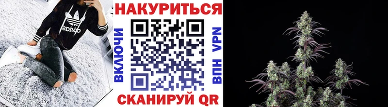Купить где  Красный Кут  Конопля VHQ 